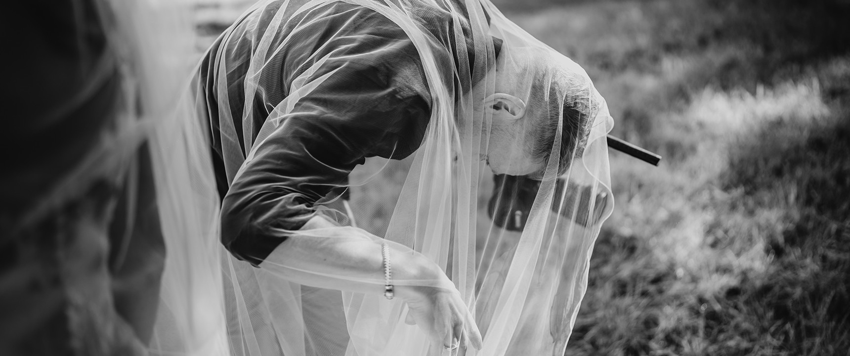 Kenmerken Filmard Wedding